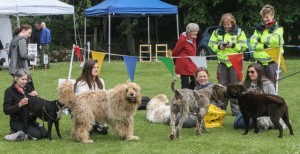 Haddo 2017-33